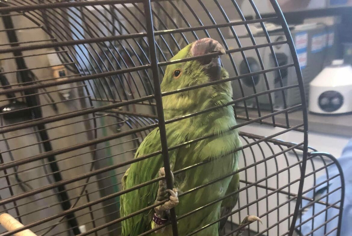 243841416_2995246420715221_5133721453053922122_n-e1632991015560