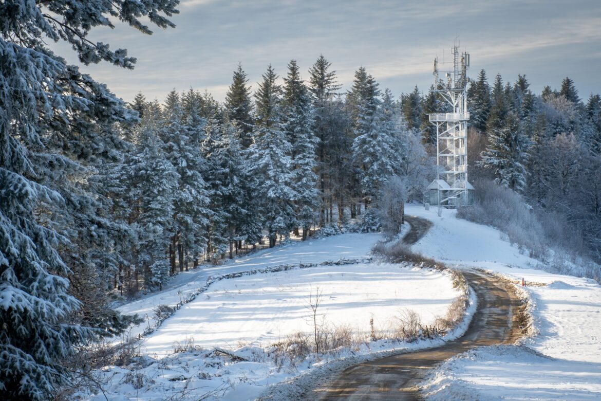 473223493_931555275829930_5018861737123771004_n