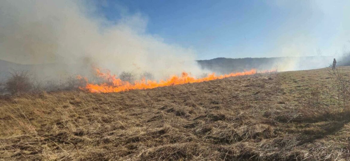 ed6ad334-071d-48a6-8d86-3242cb9fdc22